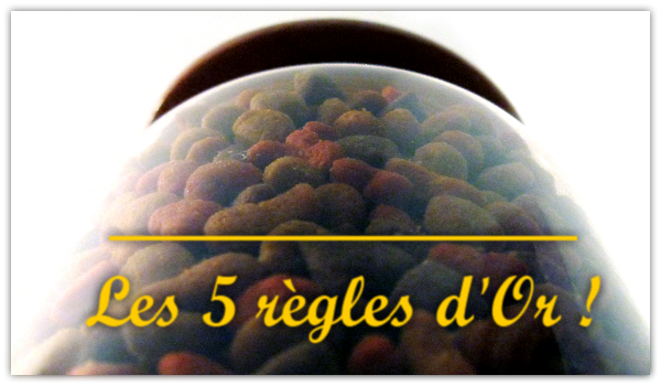 choisir-croquette-meilleures-chiens-chats