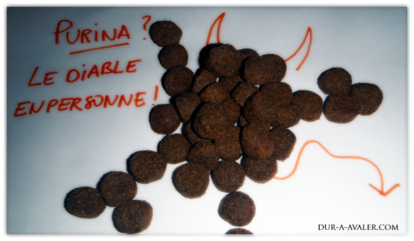 http://www.dur-a-avaler.com/wp-content/uploads/2014/03/purina-chiens-chats-croquettes-proplan.png?x21010