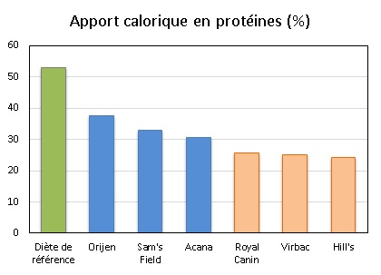 Croquettes sans céréale ou de grande marque : lesquelles choisir ?