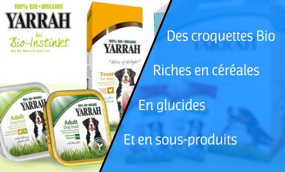 yarrah-biologique-cereales-glucides-ble