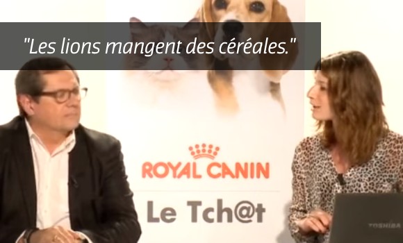 royal-canin-croquette-cereale-chien