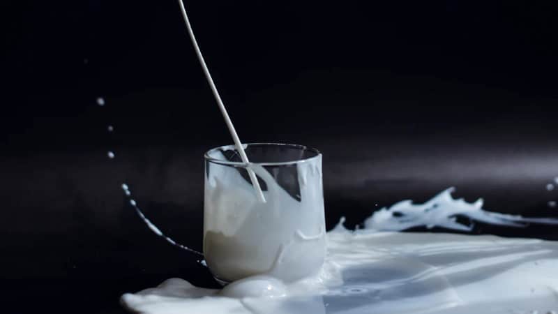 Le sort intenable des producteurs de lait bio - L'Humanité