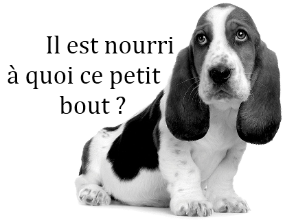 NUTRIVET Power Dog Complément alimentaire pour chiot