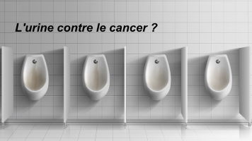 L'urine peut-elle soigner le cancer ? | Dur à Avaler