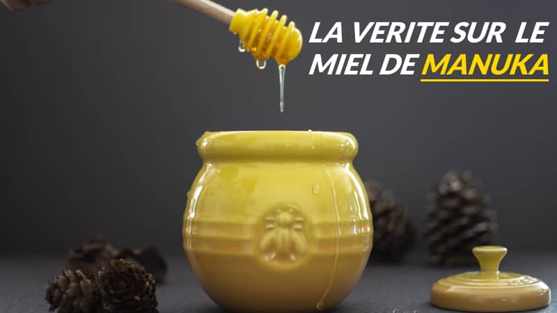 Le miel de Manuka, nectar aux vertus exceptionnelles